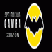 Speleoklub GAWRA Gorz�w