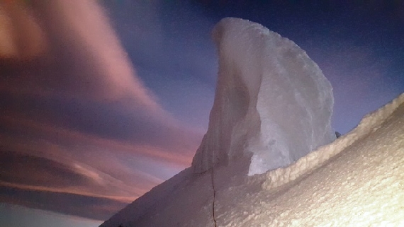 Szczytowy grzyb na Standhardtcie Szczytowy grzyb na Standhardtcie