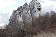 wi�cej &raquo;